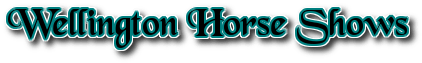 Wellington Horse logo